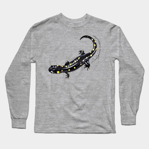 Spotted salamander art with scientific name Long Sleeve T-Shirt by austinmg